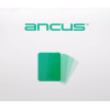 Ancus