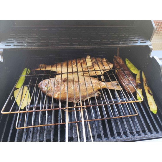 Thermogatz Elite Gs Grill ,Elite Ψησταριά Υγραερίου ... Thermogatz Elite Gs Grill ,Elite Ψησταριά Υγραερίου ...
